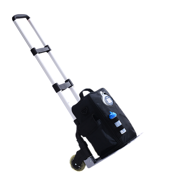 Portable oxygen concentrator ZS102
